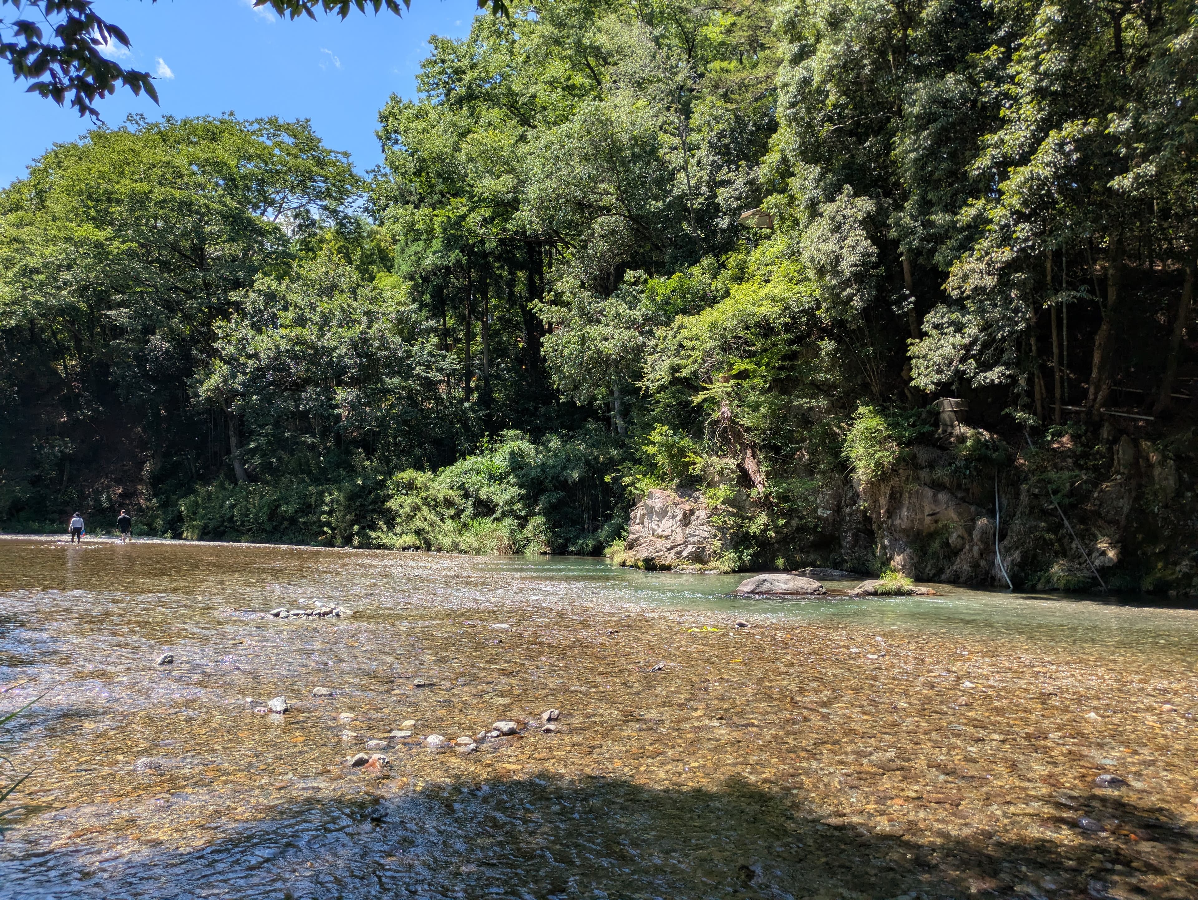 世界は理解を待っている